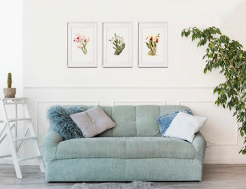 Floral Wall Art & Decor Darwin's Orchid Orchid Art Etsy