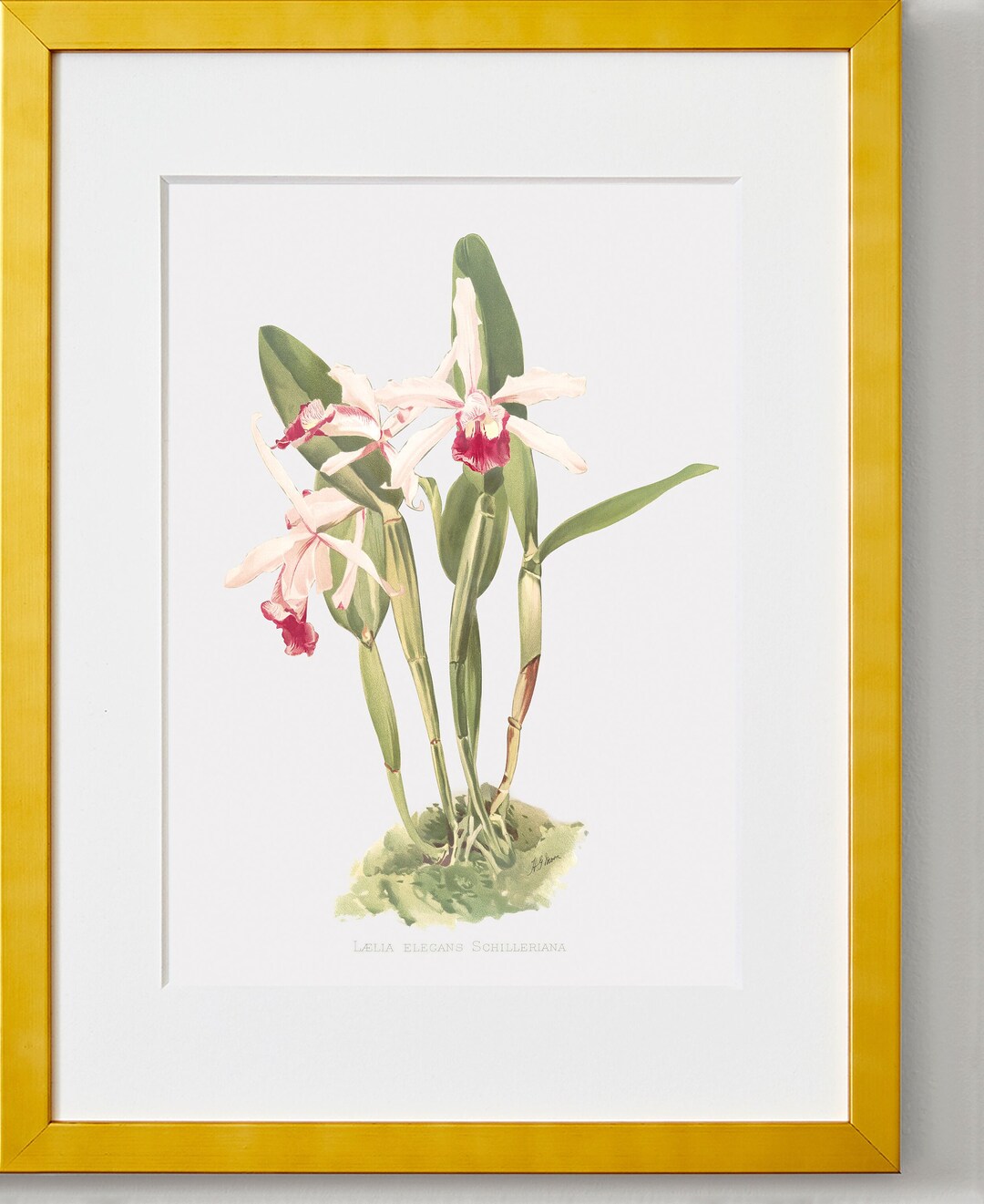 Orchid Wall Art Orchid Art Floral Paintings on Canvas the Etsy