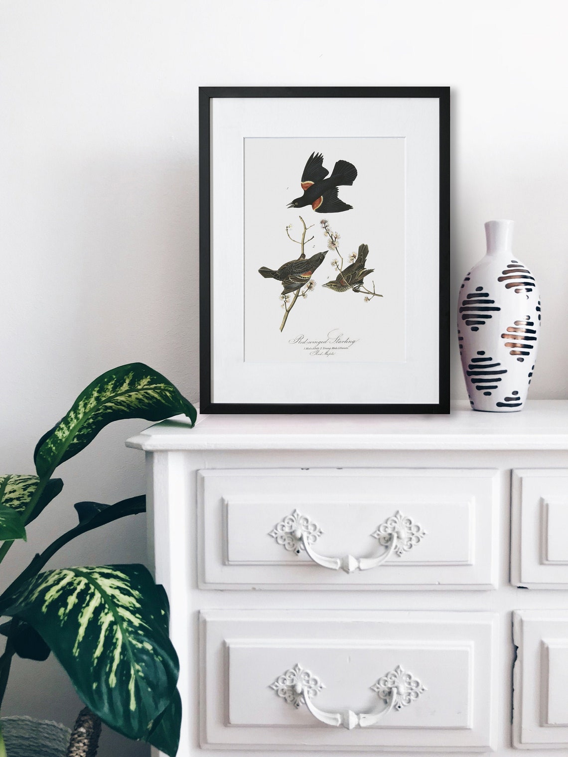 Bird Wall Art Framed Bird Wall Art Bird Home Decor Etsy