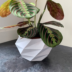 Plant Pot/Planter 3D Printed Geometric