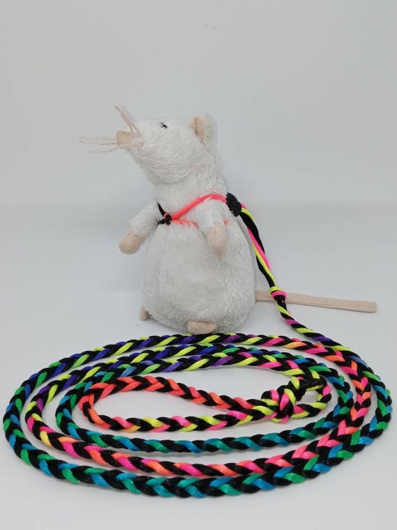 pet rat harness leash