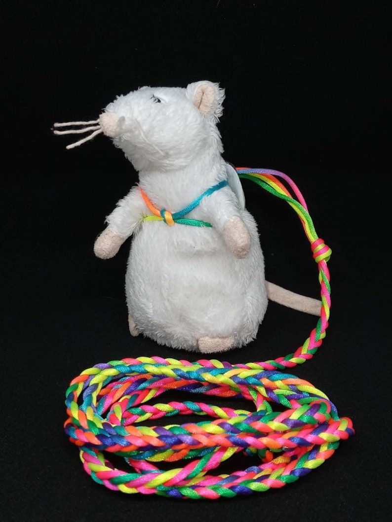 Rat Harness & Leash Etsy