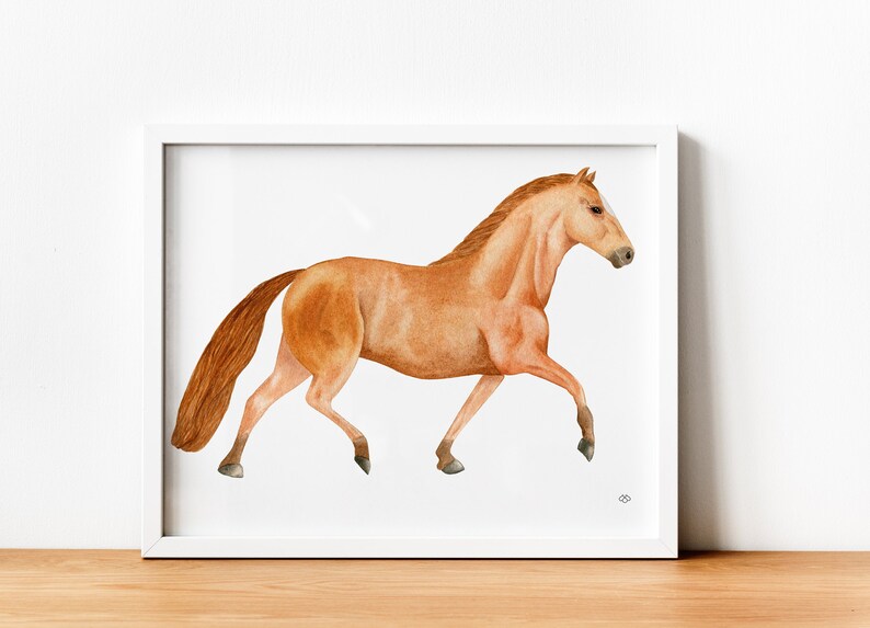 Hanoverian Stallion image 1