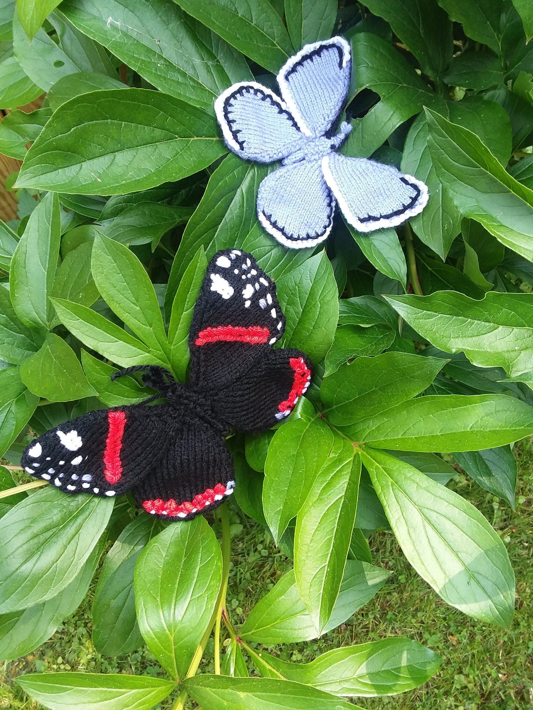 Knitted Butterfly - Etsy