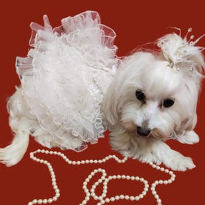 Custom Dog Wedding Dress - Handmade Elegant Bridal Gown for Dogs - Luxury Pet Outfit for Weddings, Formal Events & Special Occasions Veil