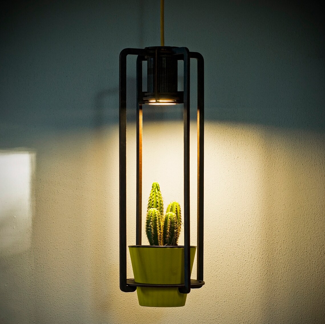 Pendant light with a hanging planter. Flower pots are Etsy