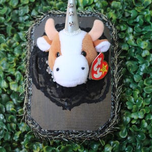 Bessie - Vegan Taxidermy/Oddities Mount