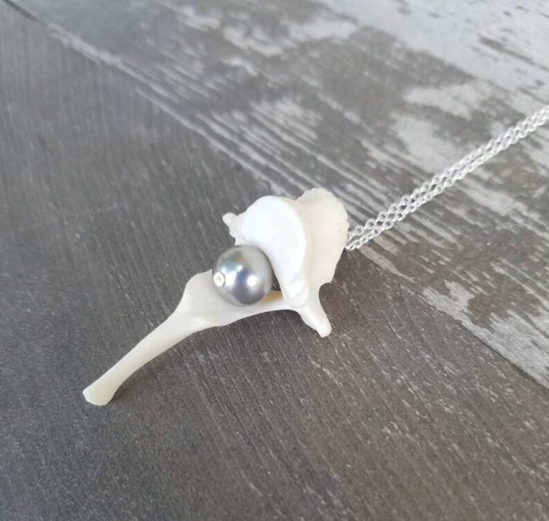 Silver Pearl Vertabrae Necklace