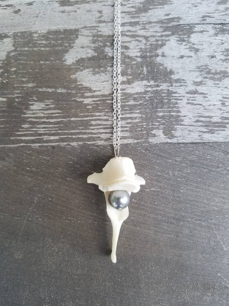 Silver Pearl Vertabrae Necklace