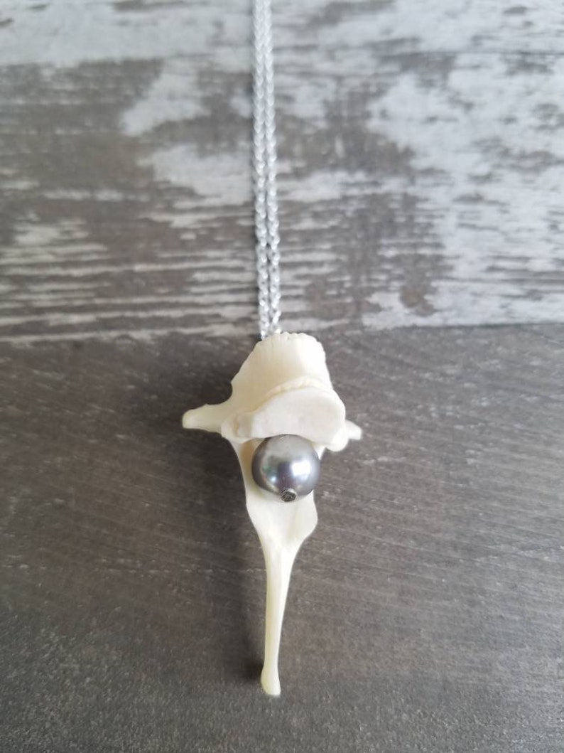 Silver Pearl Vertabrae Necklace