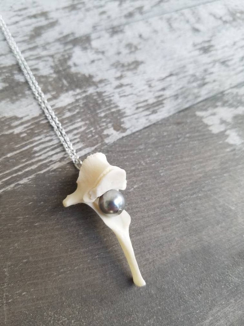 Silver Pearl Vertabrae Necklace