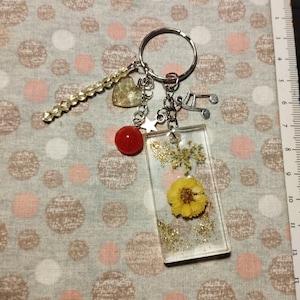 Key ring