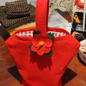Dance shoes bag