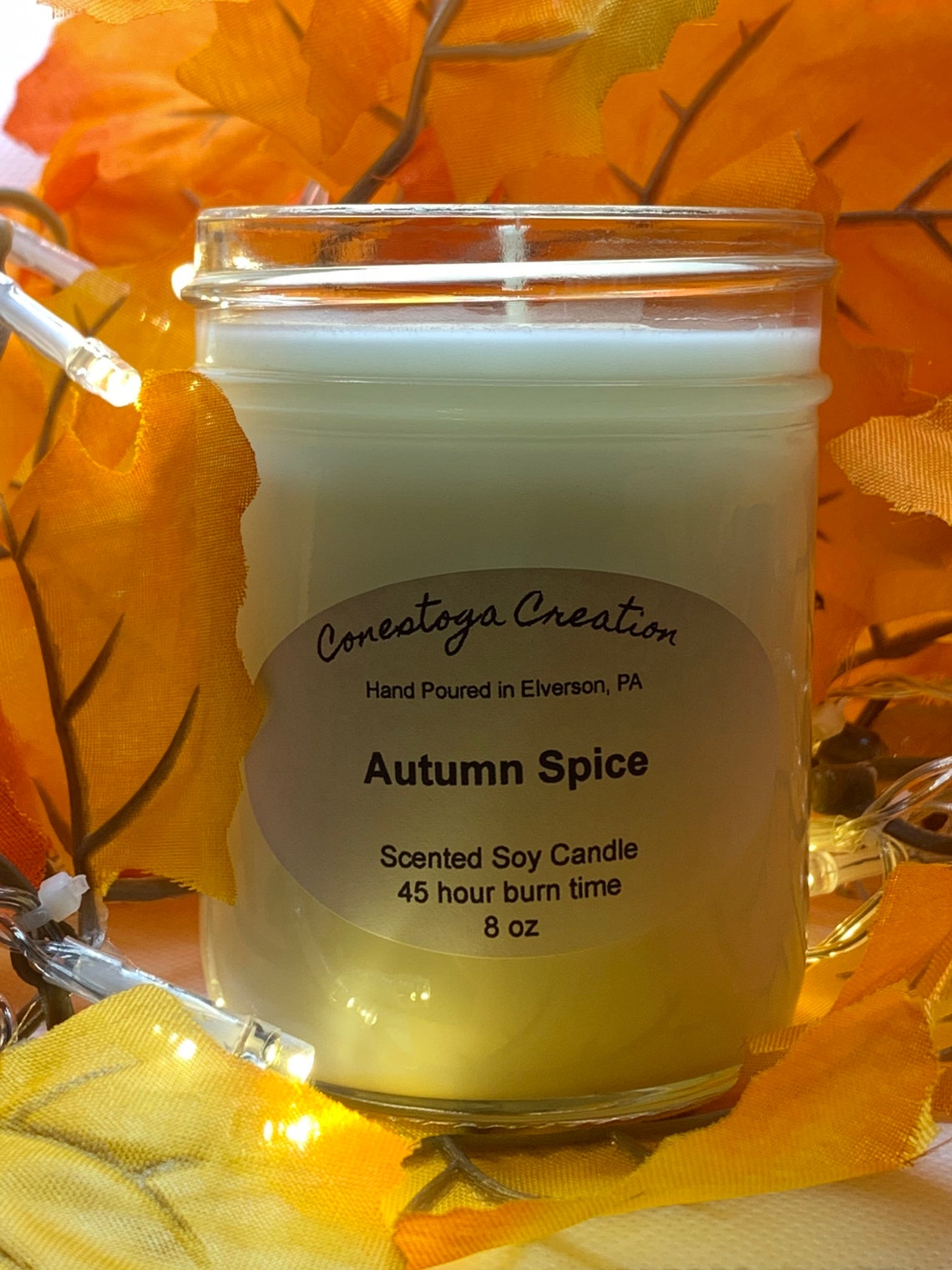 Autumn Spice Scented Candle Fall Candle Autumn Candle Etsy