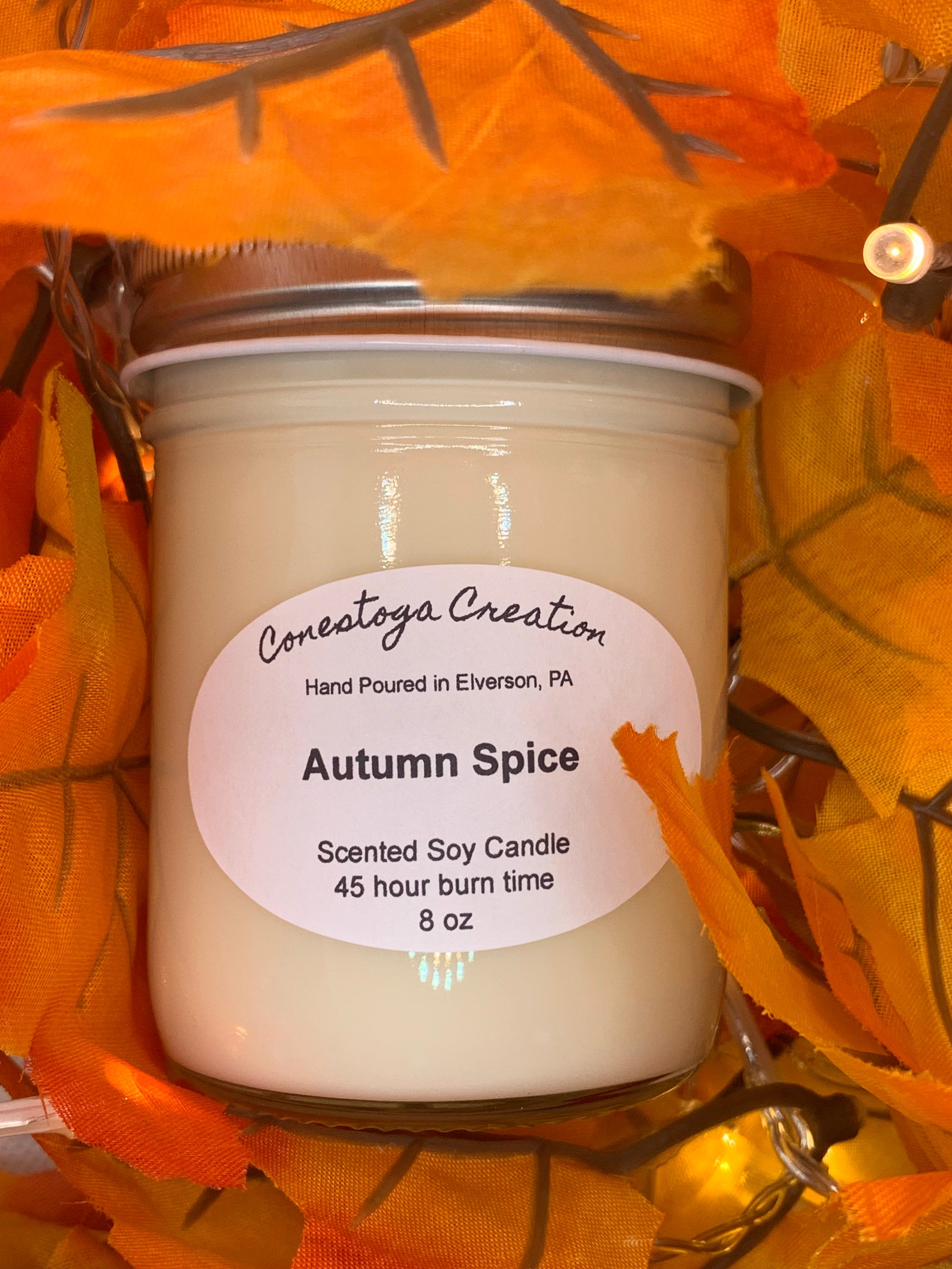 Autumn Spice Scented Candle Fall Candle Autumn Candle Etsy