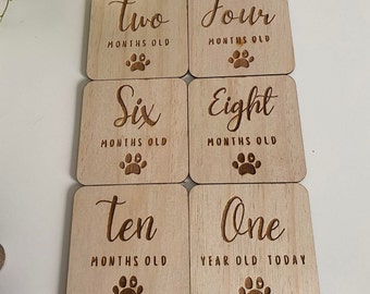 Puppy Age Milestone Plaque