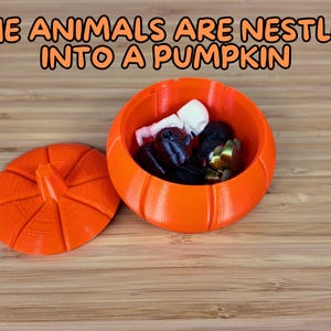 May include: An orange pumpkin-shaped container with a lid, filled with small decorative items. The container is made of plastic and has a textured surface. The text "THE ANIMALS ARE NESTLED INTO A PUMPKIN" is displayed above the container.