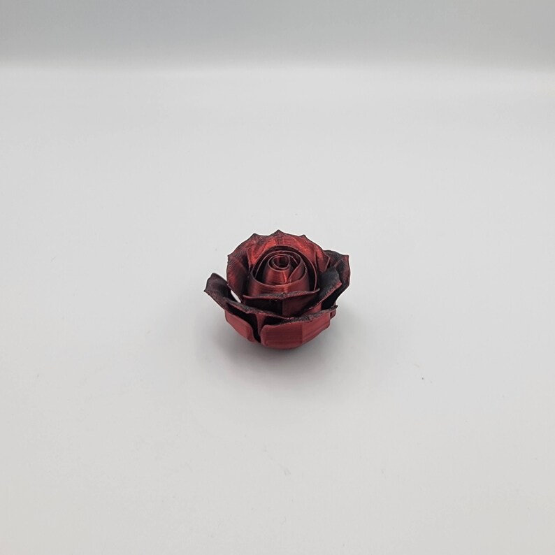 May include: A single, deep red rose with dark edges, set against a white background. The rose is in full bloom, showcasing detailed petals and a textured appearance. The overall aesthetic is elegant and simple.