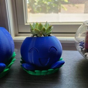 Puede incluir: Dos macetas para suculentas impresas en 3D de color azul y verde con forma de personajes de dibujos animados con caras sonrientes. Las macetas est&aacute;n sobre una superficie de madera oscura.