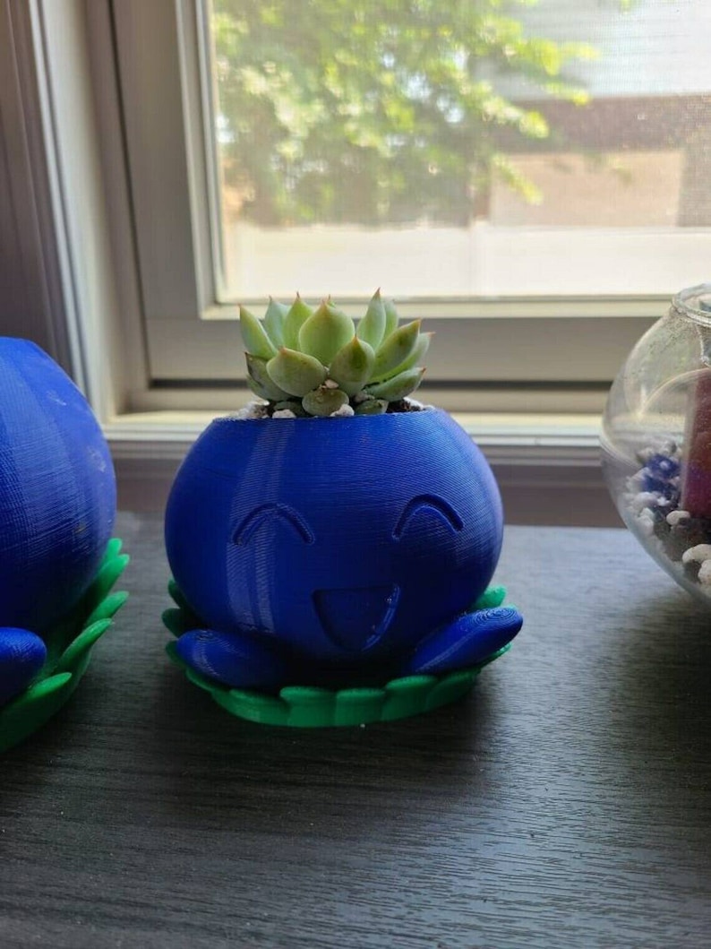 Puede incluir: Dos macetas para suculentas impresas en 3D de color azul y verde con forma de personajes de dibujos animados con caras sonrientes. Las macetas est&aacute;n sobre una superficie de madera oscura.