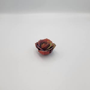 May include: A single, multi-colored rose with a gradient of colors, including red, brown, and hints of blue and green. The rose is in full bloom, showcasing its intricate petal arrangement. The flower is set against a plain white background.