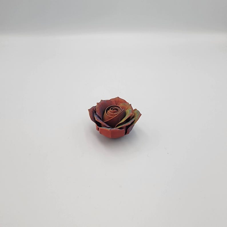 May include: A single, multi-colored rose with a gradient of colors, including red, brown, and hints of blue and green. The rose is in full bloom, showcasing its intricate petal arrangement. The flower is set against a plain white background.