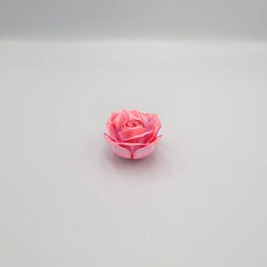 May include: A pink rose, with a gradient of colors from light to dark, is centered in the image. The rose has multiple petals and is in full bloom. The image is taken against a white background.