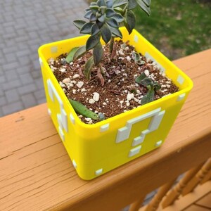 May include: A yellow 3D printed planter shaped like a question block from the Super Mario Bros. video game series. The planter contains a succulent plant with green leaves.