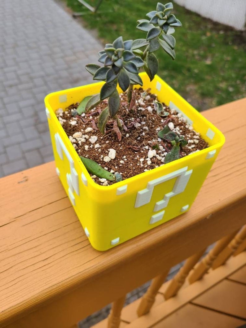 May include: A yellow 3D printed planter shaped like a question block from the Super Mario Bros. video game series. The planter contains a succulent plant with green leaves.