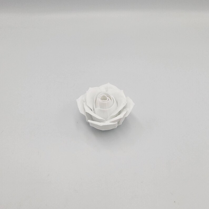 May include: A single, pristine white rose, centered against a plain white background. The rose is fully bloomed, showcasing detailed petal formation. The image highlights the delicate beauty of the flower, perfect for floral arrangements or crafts.