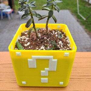 May include: A yellow 3D printed planter shaped like a Super Mario Bros. question block with a white question mark on the front. The planter is filled with soil and two small green succulents.
