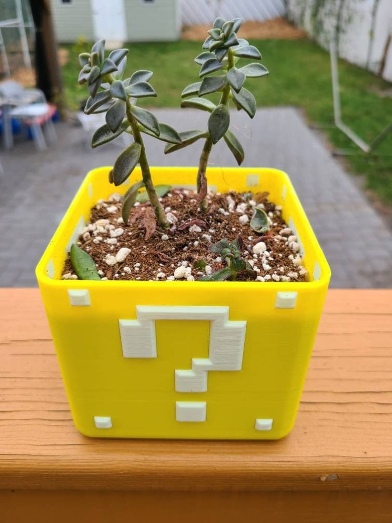 May include: A yellow 3D printed planter shaped like a Super Mario Bros. question block with a white question mark on the front. The planter is filled with soil and two small green succulents.