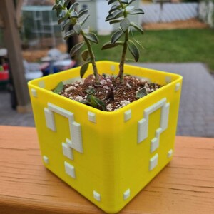 May include: A yellow, 3D printed question mark block planter with a green succulent plant growing inside. The planter is made to look like a block from the Super Mario Bros. video game.