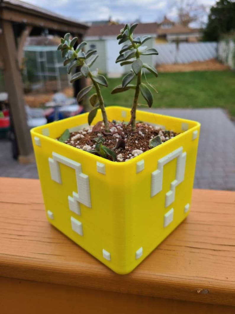 May include: A yellow, 3D printed question mark block planter with a green succulent plant growing inside. The planter is made to look like a block from the Super Mario Bros. video game.