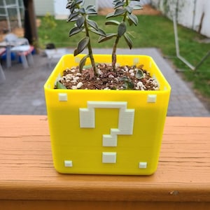 Super Mario Planter Box For Succulents - Mario Bros Coin Box Succulent Holder For Indoor and Outdoor Use