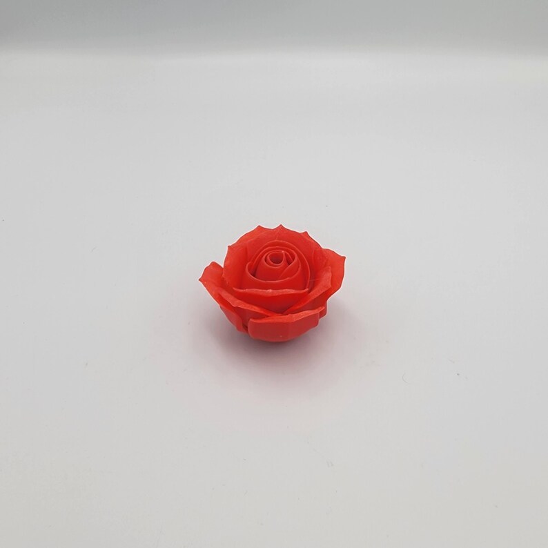 May include: A single, vibrant red rose. The rose is in full bloom, with tightly packed petals forming a spiral at the center. The petals have a slightly textured appearance. The rose is set against a plain white background.