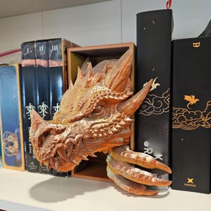 May include: A detailed, bronze-colored dragon head bookend. The dragon's head is emerging from a wooden box, with sharp teeth and textured scales. The bookend is designed to hold books on a shelf, adding a fantasy theme to a bookshelf.