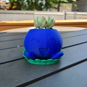 Puede incluir: Una maceta de 3D impresa en azul y verde con forma de personaje de dibujos animados con una cara sonriente. La maceta est&aacute; llena de una peque&ntilde;a planta suculenta.