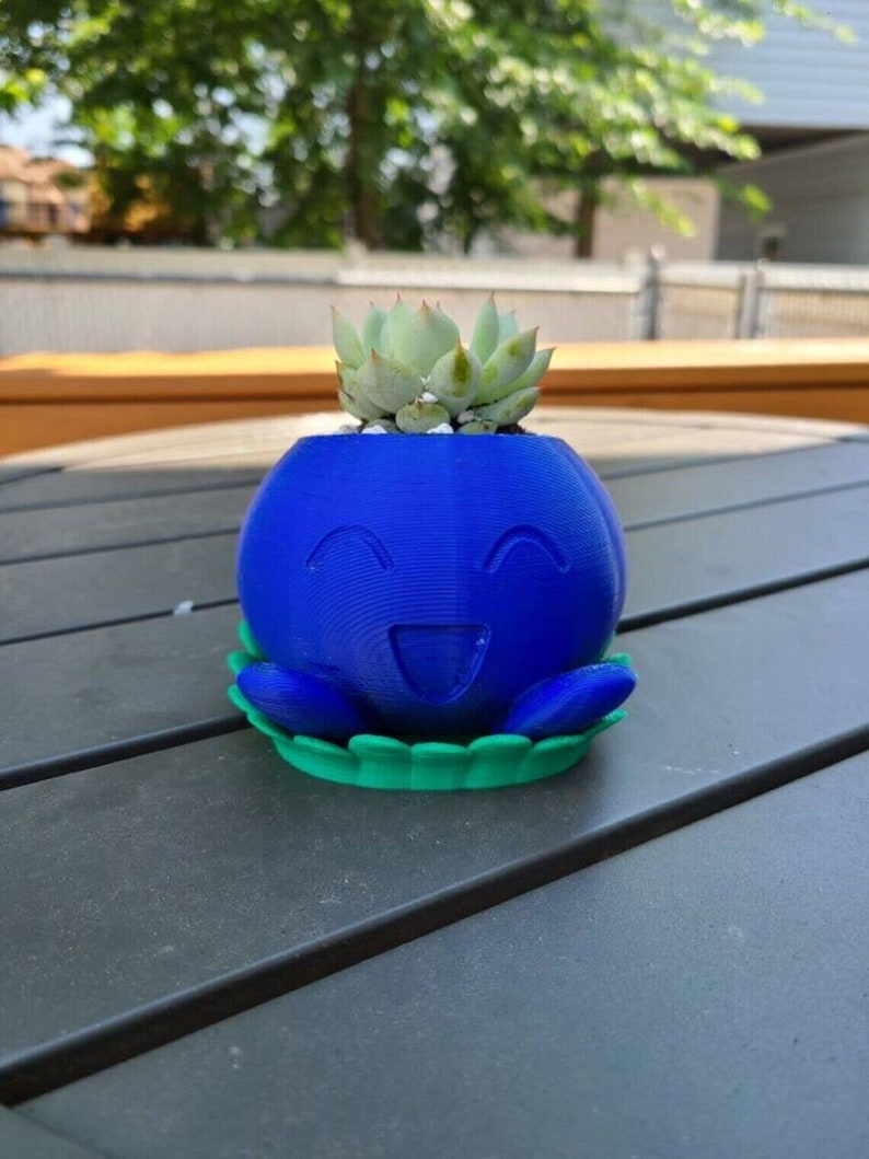 Puede incluir: Una maceta de 3D impresa en azul y verde con forma de personaje de dibujos animados con una cara sonriente. La maceta est&aacute; llena de una peque&ntilde;a planta suculenta.