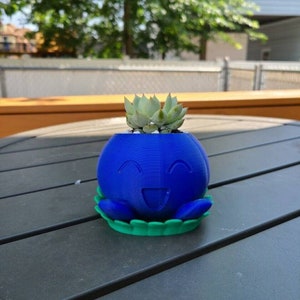 Puede incluir: Una maceta de 3D impresa de color azul y verde con forma de personaje de dibujos animados con una cara sonriente. La maceta tiene una peque&ntilde;a planta suculenta en su interior.