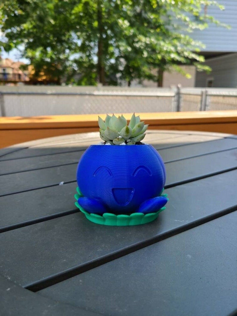 Puede incluir: Una maceta de 3D impresa de color azul y verde con forma de personaje de dibujos animados con una cara sonriente. La maceta tiene una peque&ntilde;a planta suculenta en su interior.