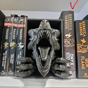 Pode incluir: Uma estante cinzenta em forma de drag&atilde;o com a boca aberta. A estante cont&eacute;m livros, incluindo t&iacute;tulos de Tolkien e Rebecca Yarros. A boca do drag&atilde;o est&aacute; aberta, revelando dentes e uma l&iacute;ngua.