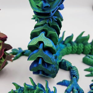 May include: A 3D-printed articulated dragon in shades of blue and green. The dragon has a detailed head, a segmented body, and clawed feet. The color gradient gives the dragon a textured appearance, and it is posed on a white surface.