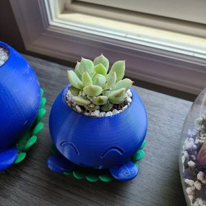 Puede incluir: Una maceta para suculentas impresa en 3D de color azul y verde con una cara sonriente. La maceta est&aacute; llena de peque&ntilde;as piedras blancas y una planta suculenta verde.
