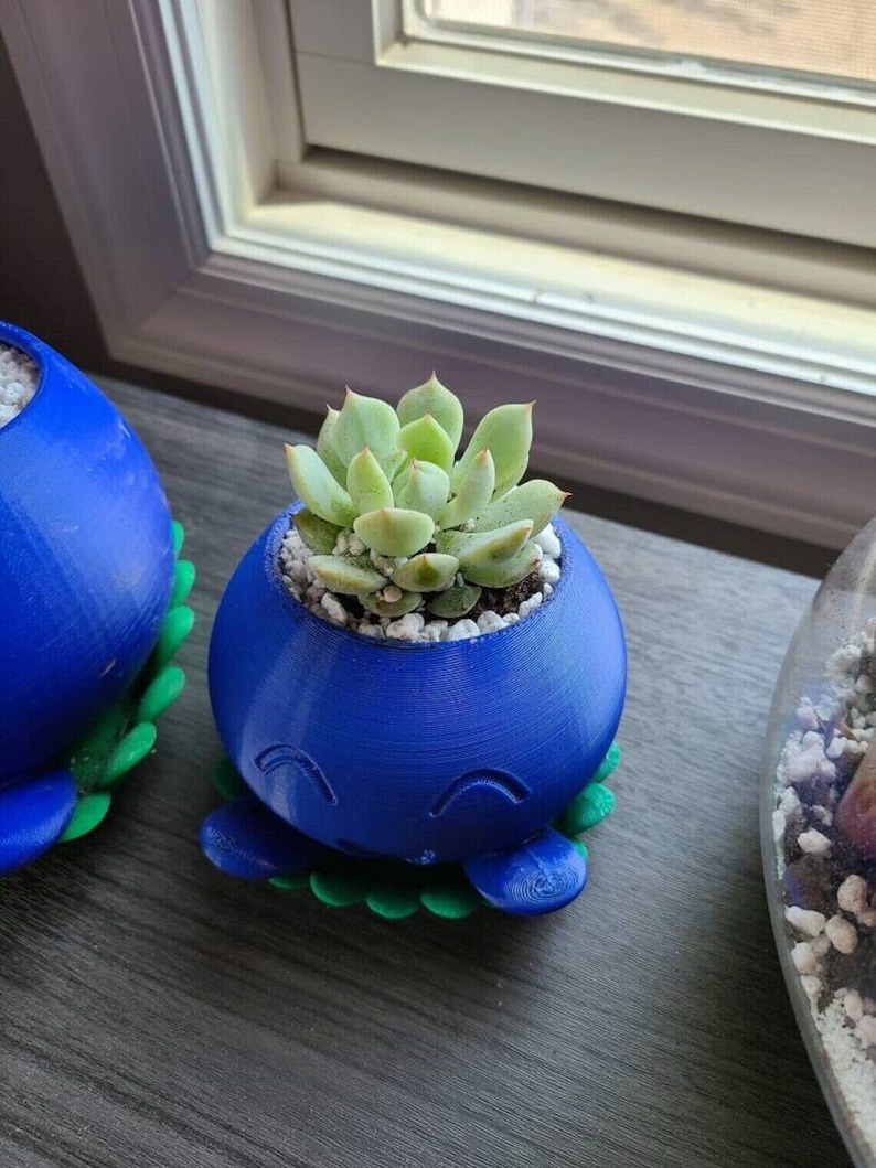 Puede incluir: Una maceta para suculentas impresa en 3D de color azul y verde con una cara sonriente. La maceta est&aacute; llena de peque&ntilde;as piedras blancas y una planta suculenta verde.