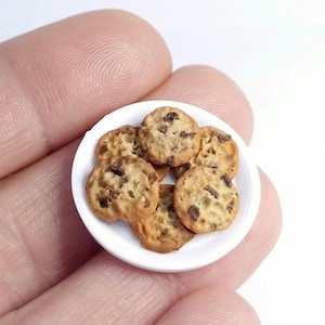 May include: A miniature white plate holding six small, round, golden-brown chocolate chip cookies. Each cookie features a textured surface with visible dark brown chocolate chunks embedded throughout, arranged in a cluster on the plate.