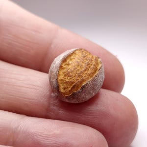 Może przedstawiać: Miniaturowy bochenek chleba, o chrupiącej, teksturowanej powierzchni w odcieniach złocistego brązu i beżu. Mały chleb trzymany jest w dłoni osoby, ukazując jego niewielki rozmiar i szczegółowe wykonanie.