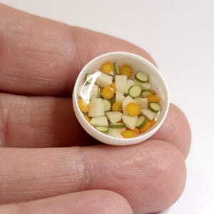 Op de afbeelding: Een miniatuur witte kom gevuld met een heldere vloeistof en kleine, kleurrijke stukjes groenten. De groenten omvatten in blokjes gesneden witte, gele en groene stukjes, die lijken op een kleine soep of stoofpot. De kom wordt tussen vingers gehouden.