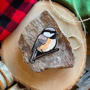 Maine Chickadee Vinyl Sticker - Maine bird sticker - Nature sticker - Cute bird sticker - Bird water bottle sticker