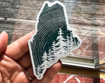 Maine Woods Magnet: Wood Grain Coastline, Pine Tree State